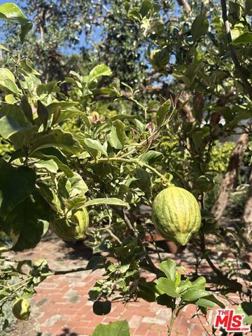 723 N Orange Drive, Los Angeles, CA 90038