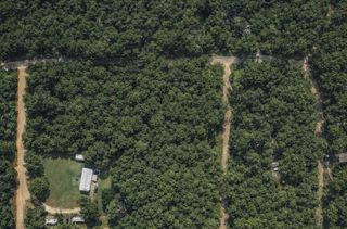 00 Glenn Campbell Road, Livingston, TX 77351