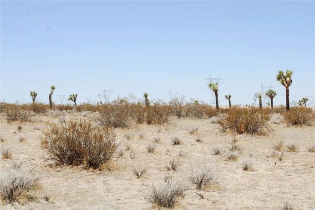 16999 Holly, Phelan, CA 92371