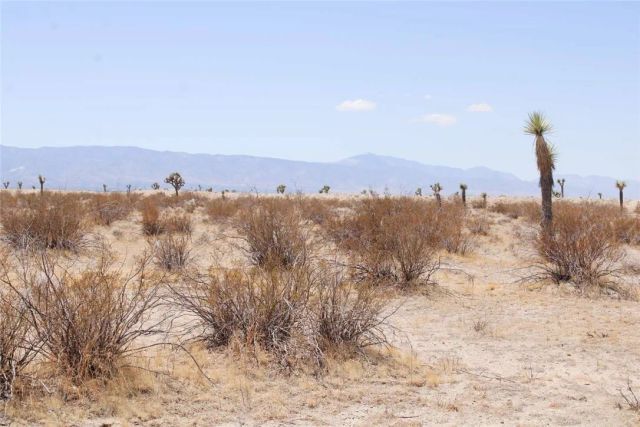 16999 Holly, Phelan, CA 92371