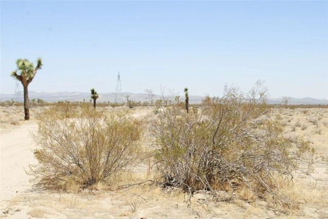 16999 Holly, Phelan, CA 92371