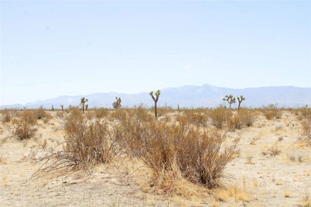 16999 Holly, Phelan, CA 92371