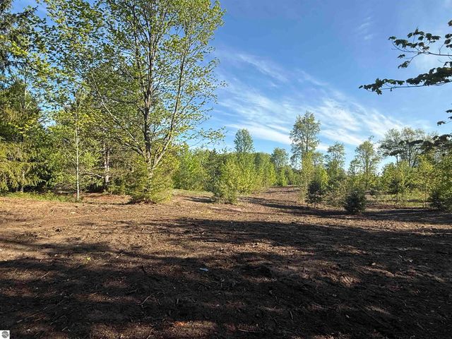 1007 E Solaris Way, Maple City, MI 49664