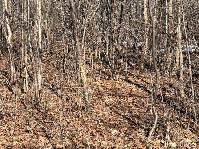 21881 Kale Road, Sparta, WI 54656