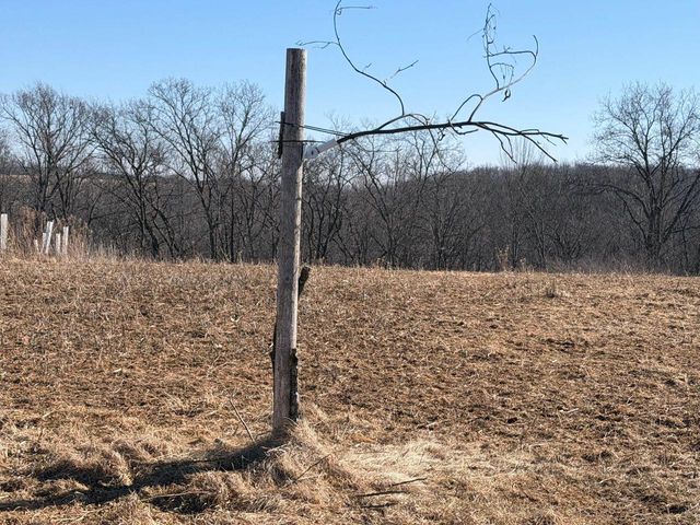 21881 Kale Road, Sparta, WI 54656