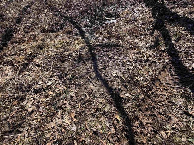 21881 Kale Road, Sparta, WI 54656