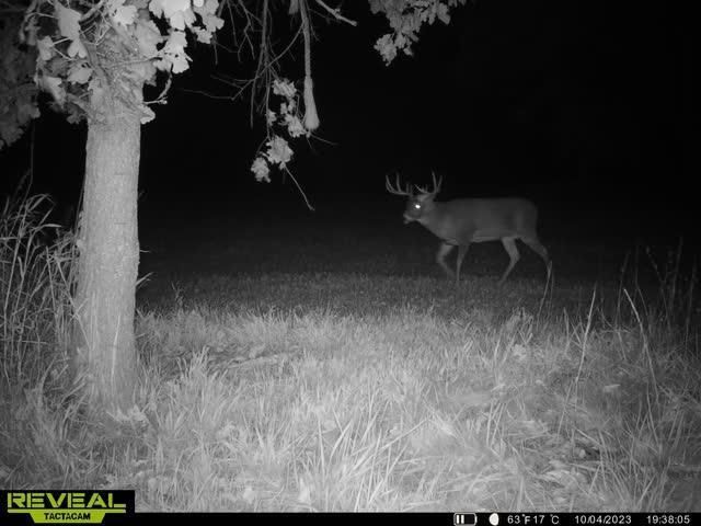 21881 Kale Road, Sparta, WI 54656