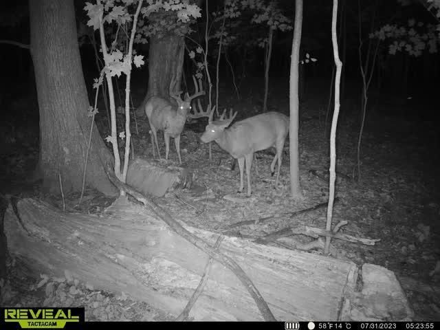 21881 Kale Road, Sparta, WI 54656