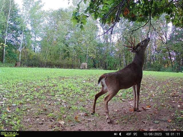 21881 Kale Road, Sparta, WI 54656