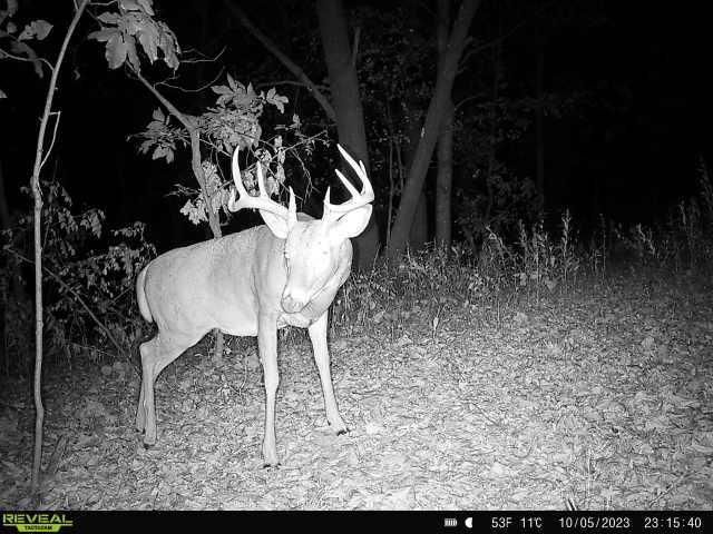 21881 Kale Road, Sparta, WI 54656