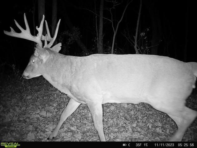 21881 Kale Road, Sparta, WI 54656