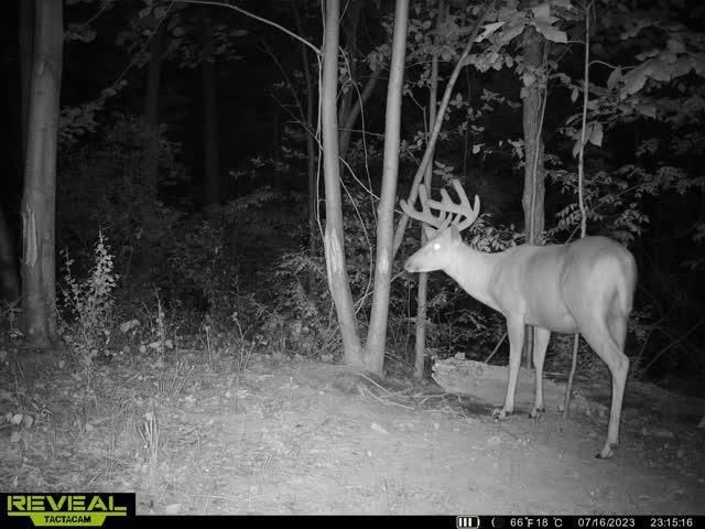 21881 Kale Road, Sparta, WI 54656