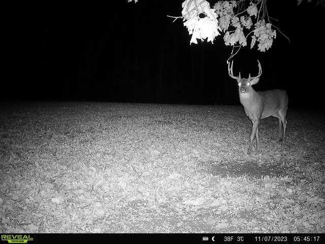 21881 Kale Road, Sparta, WI 54656