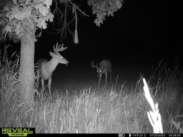 21881 Kale Road, Sparta, WI 54656