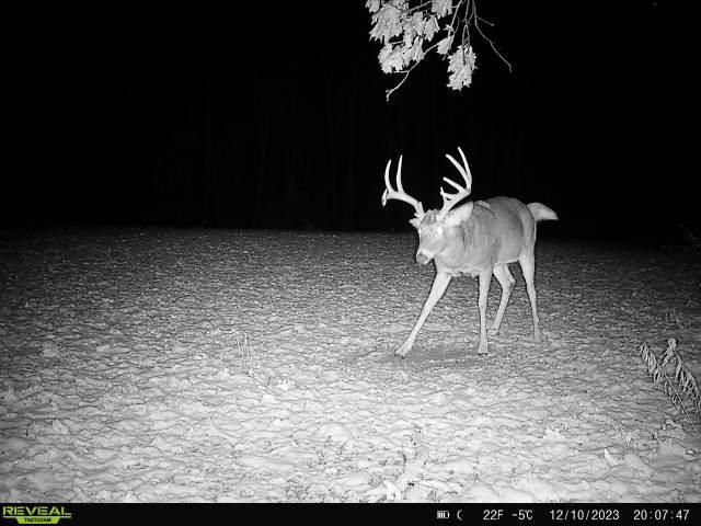 21881 Kale Road, Sparta, WI 54656