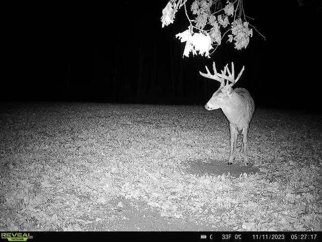 21881 Kale Road, Sparta, WI 54656