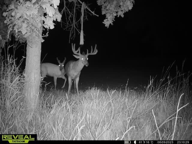 21881 Kale Road, Sparta, WI 54656