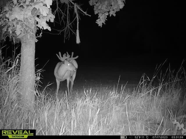 21881 Kale Road, Sparta, WI 54656