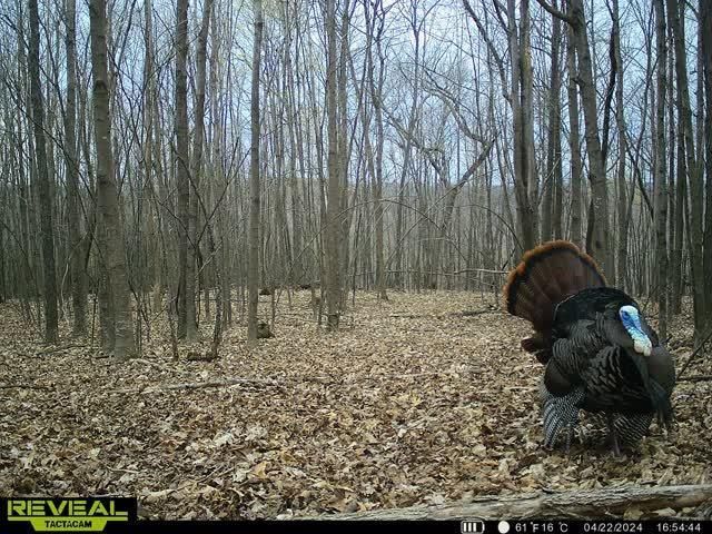 21881 Kale Road, Sparta, WI 54656