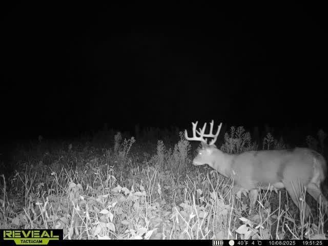 21881 Kale Road, Sparta, WI 54656