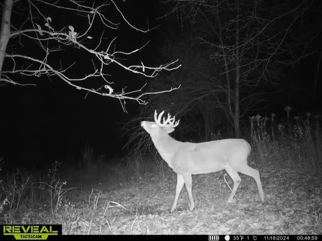 21881 Kale Road, Sparta, WI 54656