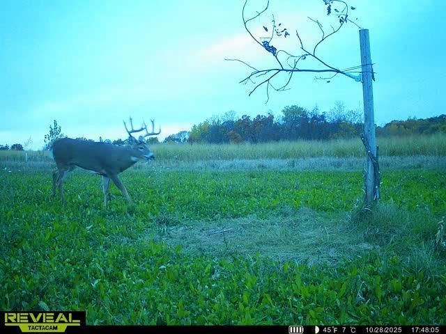 21881 Kale Road, Sparta, WI 54656