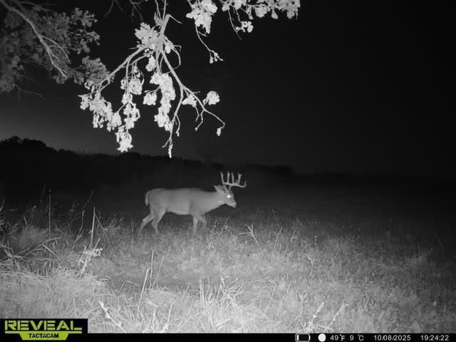 21881 Kale Road, Sparta, WI 54656