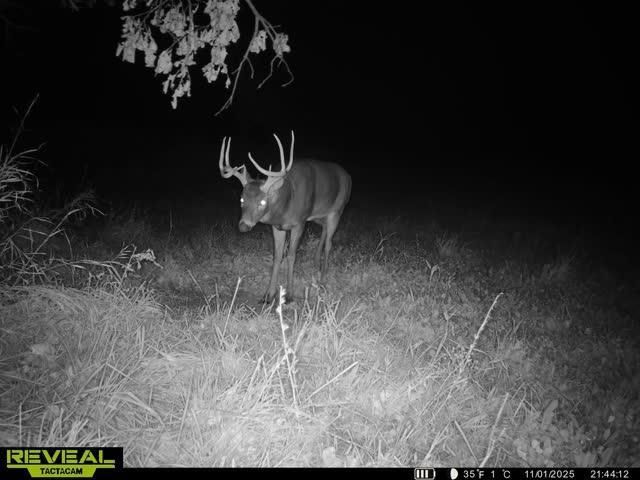 21881 Kale Road, Sparta, WI 54656