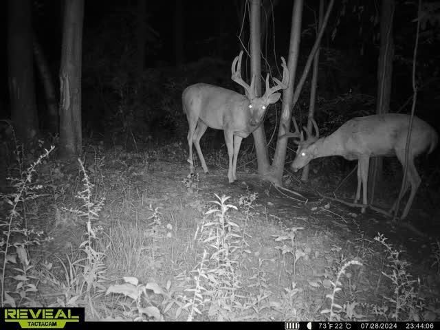 21881 Kale Road, Sparta, WI 54656