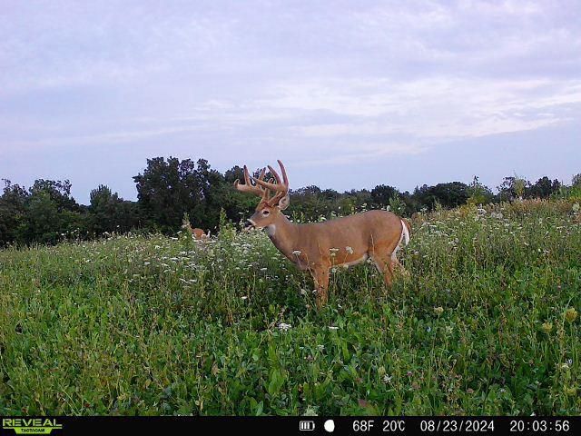 21881 Kale Road, Sparta, WI 54656