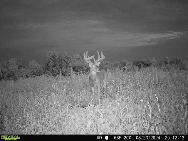 21881 Kale Road, Sparta, WI 54656