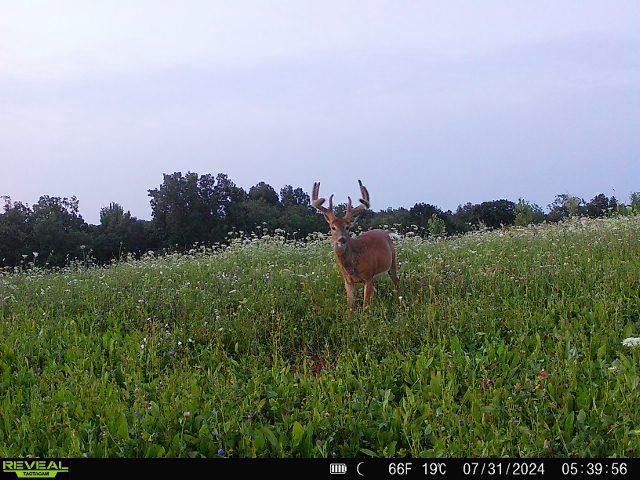 21881 Kale Road, Sparta, WI 54656