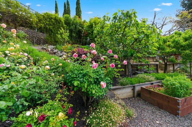 1167 Stanford Ct, Napa, CA 94558