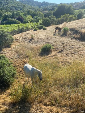 1167 Stanford Ct, Napa, CA 94558