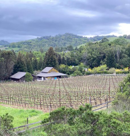 1167 Stanford Ct, Napa, CA 94558