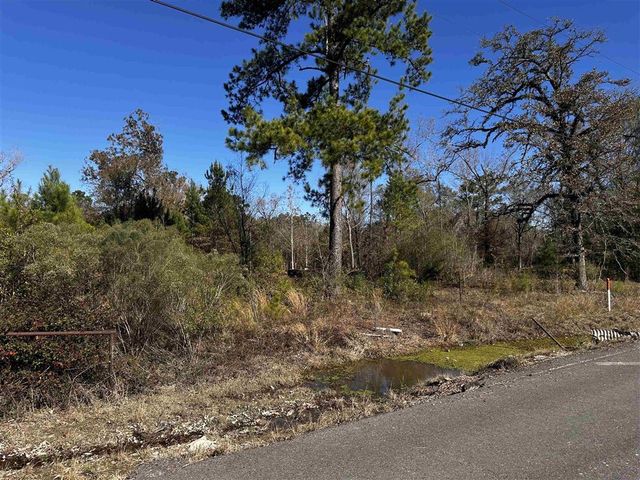 110 and 112 ANGUS Drive, Ragley, LA 70657