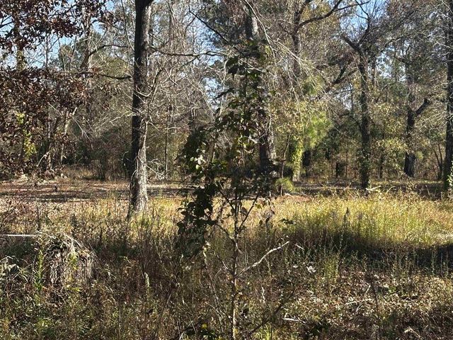 110 and 112 ANGUS Drive, Ragley, LA 70657