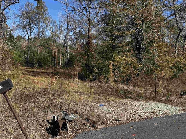 110 and 112 ANGUS Drive, Ragley, LA 70657