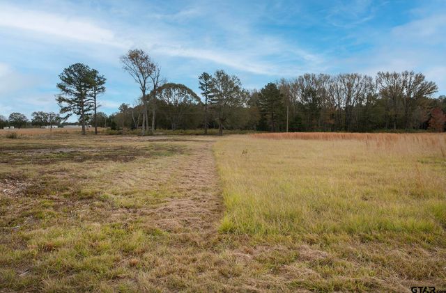 Lt 7 O- TBD FM 1892, Frankston, TX 75763