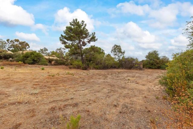 21245 OLD OAK RD, Alpine, CA 91901