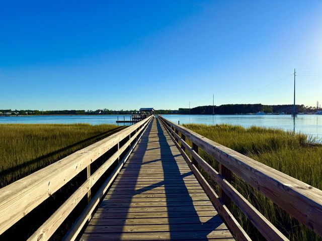 132 Low Tide Court, Charleston, SC 29492