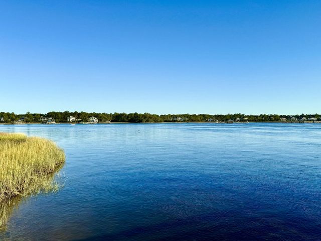 132 Low Tide Court, Charleston, SC 29492