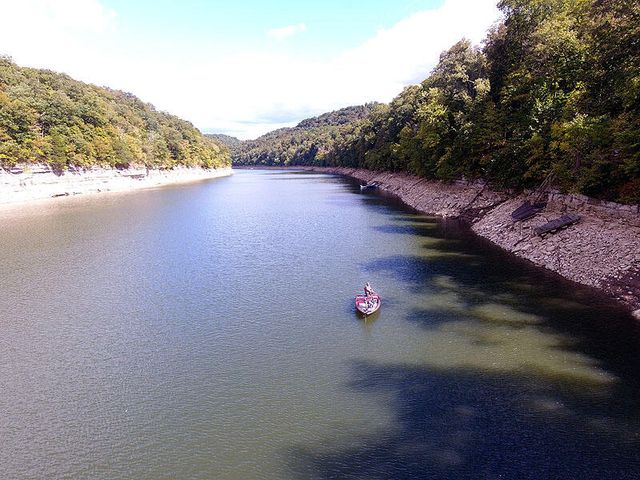 Tract 8 Dogwood Drive, Whitley City, KY 42653