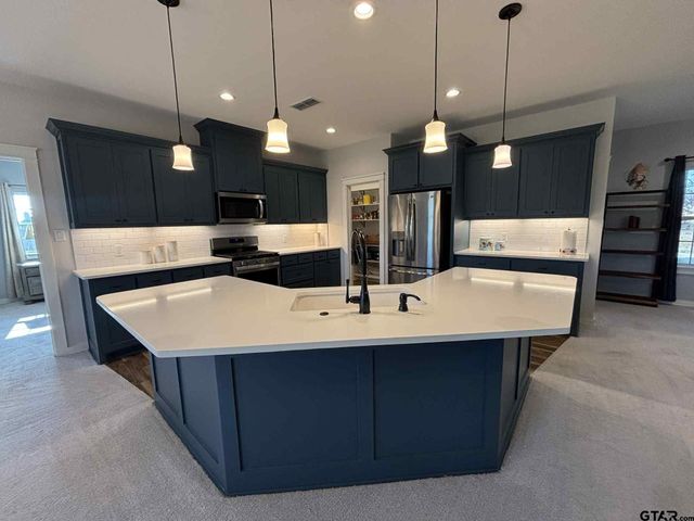 273 CR 1610, Alba, TX 75410