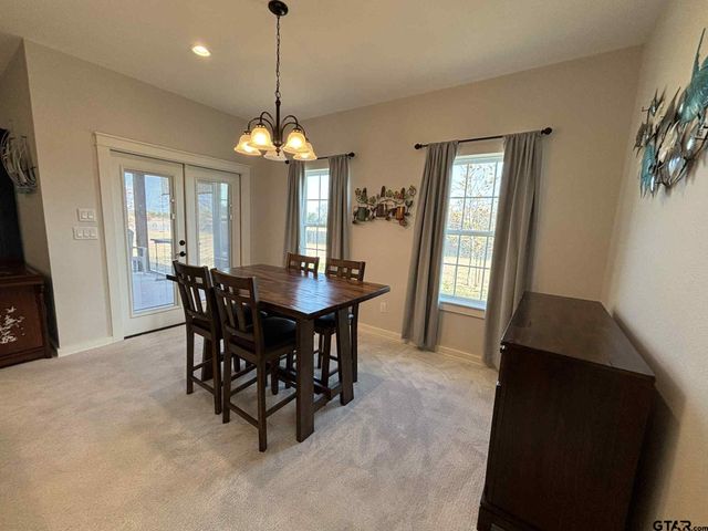 273 CR 1610, Alba, TX 75410