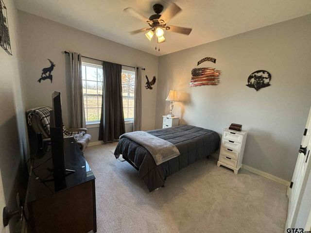 273 CR 1610, Alba, TX 75410