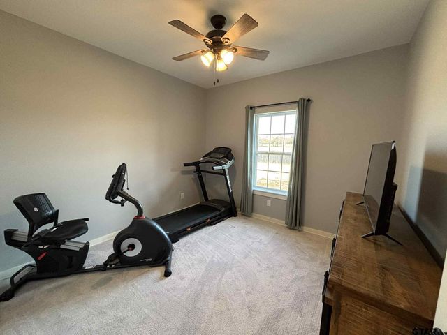 273 CR 1610, Alba, TX 75410