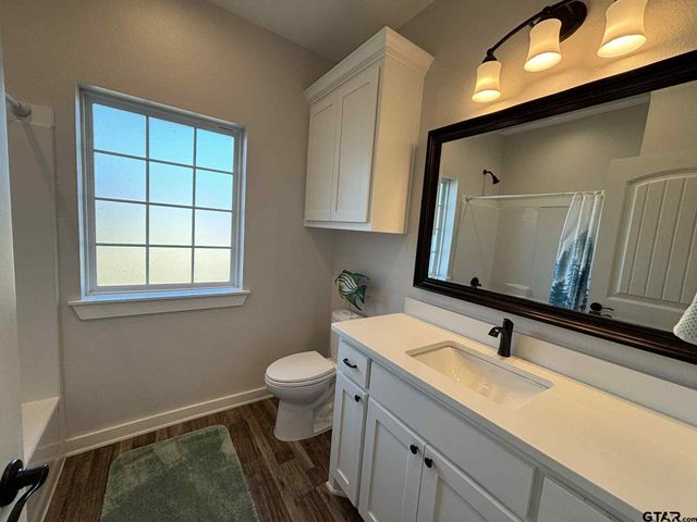 273 CR 1610, Alba, TX 75410