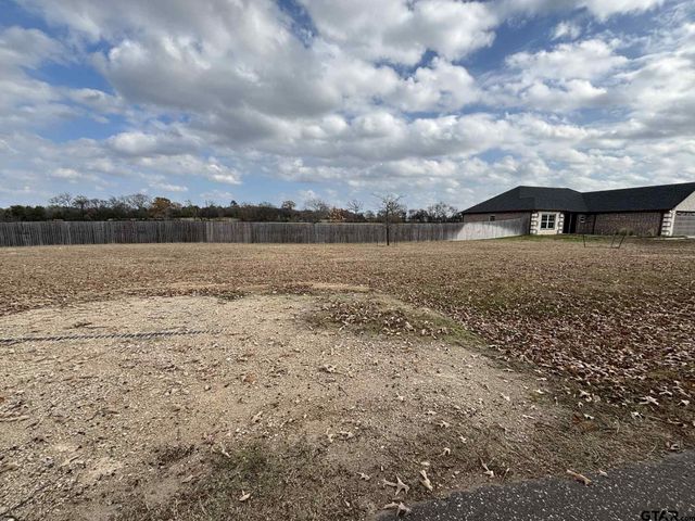 273 CR 1610, Alba, TX 75410