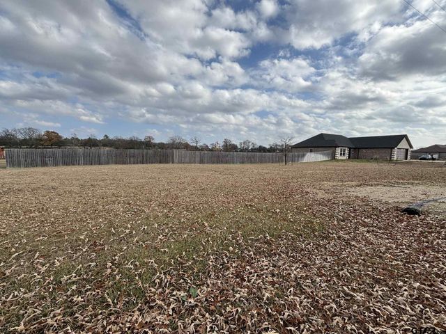 273 CR 1610, Alba, TX 75410